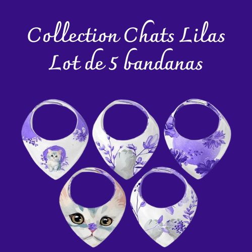 Collection "Chats Lilas"