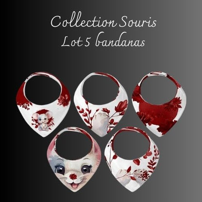 Collection "Souris"